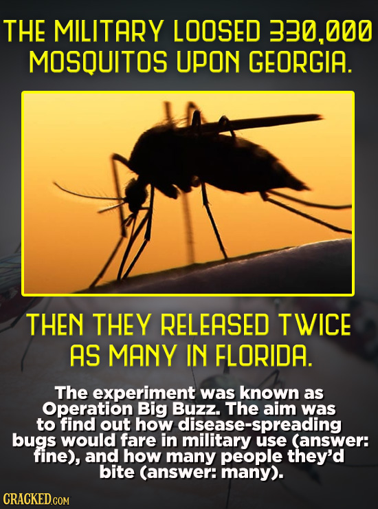 THE MILITARY LOOSED 330,000 MOSQUITOS UPON GEORGIA. THEN THEY RELEASED TWICE AS MANY IN FLORIDA. The experiment was known as Operation Big Buzz. The a