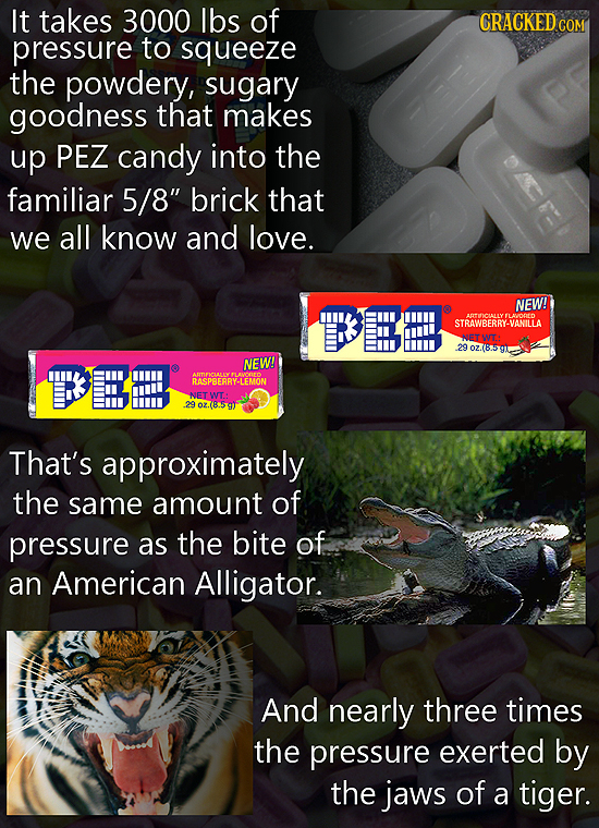 It takes 3000 lbs of CRACKED COM pressure to squeeze the powdery, sugary goodness that makes up PEZ candy into the familiar 5/8 brick that we all kno