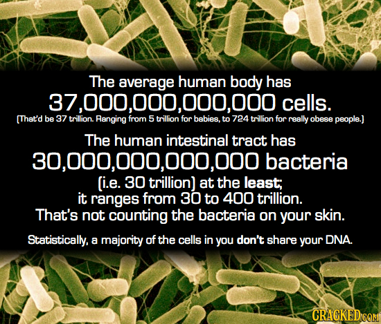 The average human body has 37,000,000,000,000 cells. (That'd be 37 trillion. Ranging from 5 trillion for babies. to 724 trillion for really obese peop