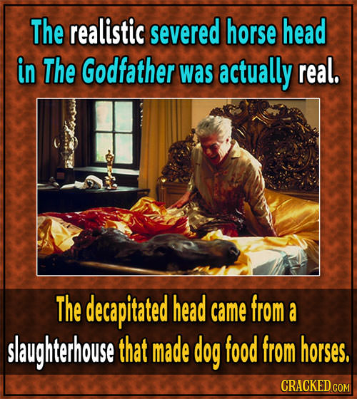 The realistic severed horse head in The Godfather was actually real. The decapitated head came from a slaughterhouse that made dog food from horses. C