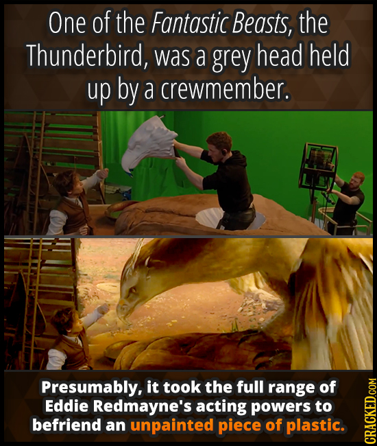 One of the Fantastic Beasts, the Thunderbird, was a grey head held up by a crewmember. Presumably, it took the full range of Eddie Redmayne's acting p