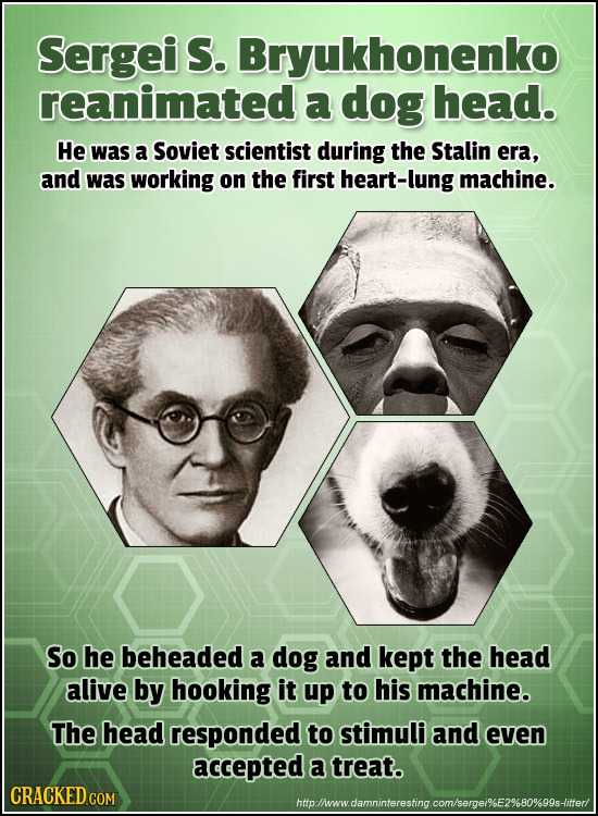 Sergei S. Bryukhonenko reanimated a dog head. He was a Soviet scientist during the Stalin era, and was working on the first heart-lung machine. So he 