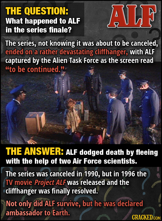 THE QUESTION: ALF What happened to ALF in the series finale? The series, not knowing it was about to be canceled, ended on a rather devastating cliffh