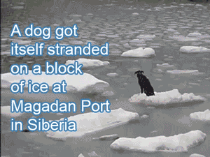 21 Amazing Times Nobodies Saved The Hell Out Of The Day