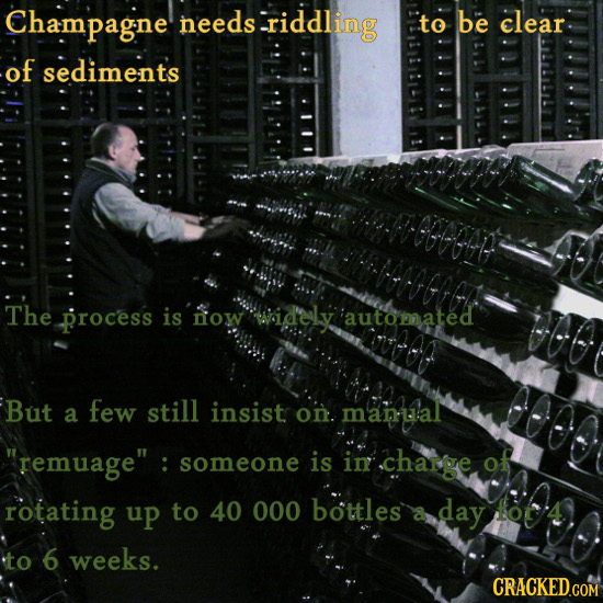 Champagne eeds-riddling to be clear of sediments The process is now widely automated But few still a insistr on. manal remuage : someone is in charg