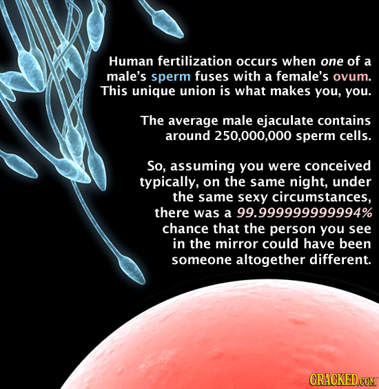 Human fertilization occurs when one of a male's sperm fuses with a female's ovum. This unique union is what makes you, you. The average male ejaculate