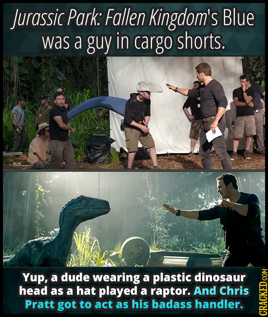 Jurassic Park: Fallen Kingdom's Blue was a guy in cargo shorts. Yup, a dude wearing a plastic dinosaur head as a hat played a raptor. And Chris Pratt
