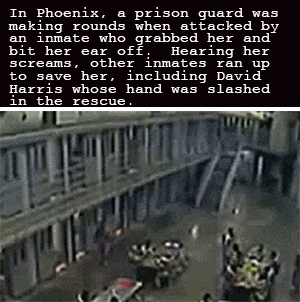 21 Amazing Times Nobodies Saved The Hell Out Of The Day