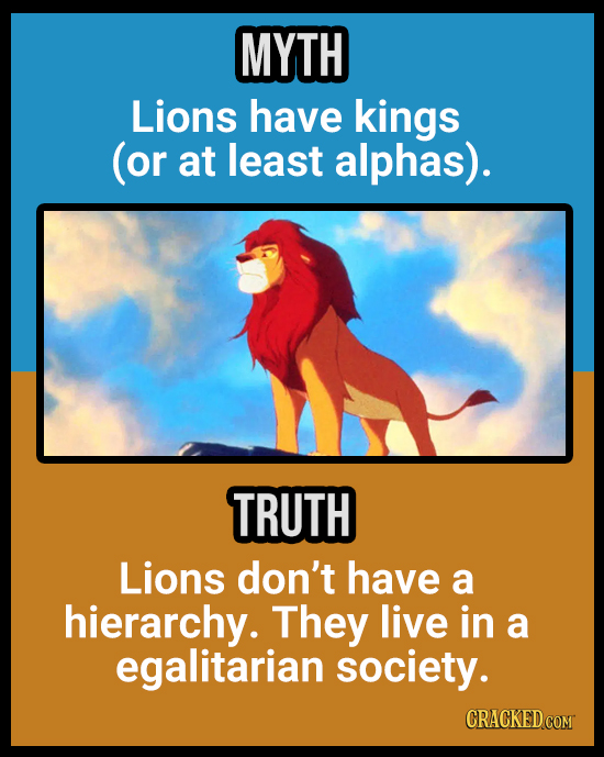 18 Animal Misconceptions We Learned From Movies & TV