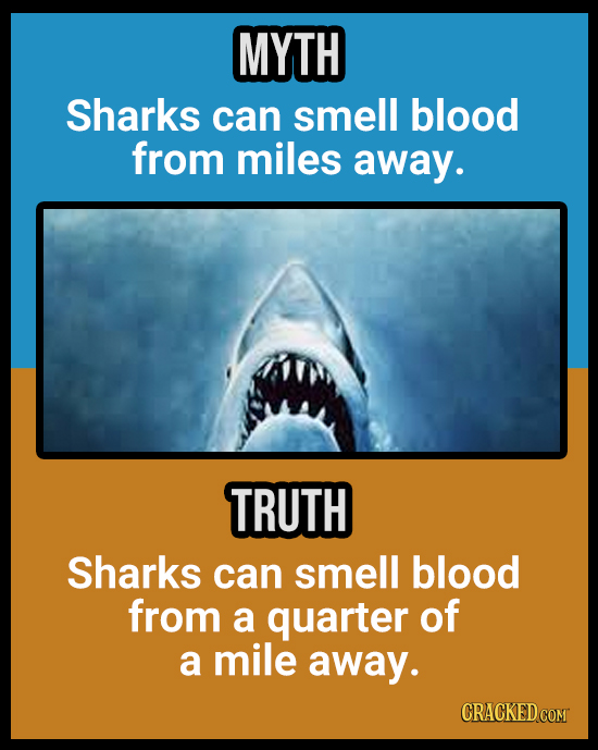 18 Animal Misconceptions We Learned From Movies & TV