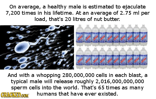On average, a healthy male is estimated to ejaculate 7, 200 times in his lifetime. At an average of 2.75 ml per load, that's 20 litres of nut butter.