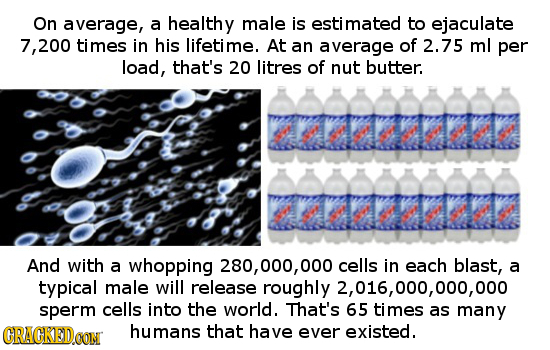 On average, a healthy male is estimated to ejaculate 7, 200 times in his lifetime. At an average of 2.75 ml per load, that's 20 litres of nut butter. 