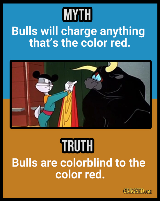 18 Animal Misconceptions We Learned From Movies & TV