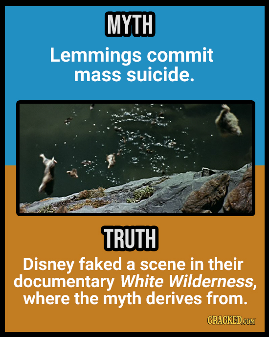 18 Animal Misconceptions We Learned From Movies & TV