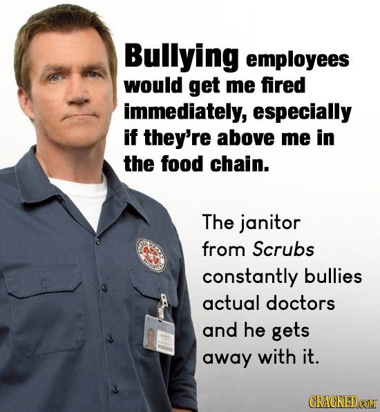 Bullying employees would get me fired immediately, especially if they're above me in the food chain. The janitor from Scrubs constantly bullies actual