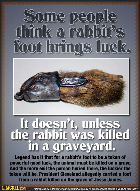 Some people think a rabbit's foot brings luck. It doesn't, unless the rabbit was killed in a graveyard. Legend has it that for a rabbit's foot to be a