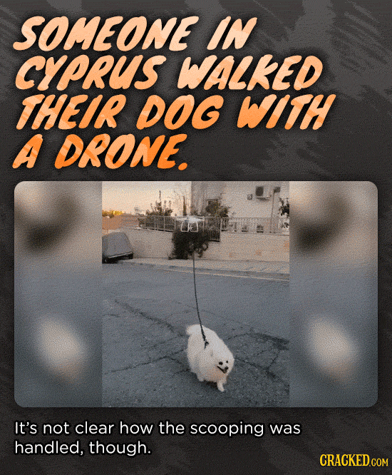 Unexpected, Absurd Hilarity In All This