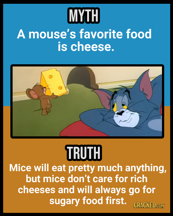 18 Animal Misconceptions We Learned From Movies & TV