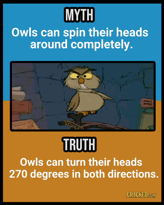 18 Animal Misconceptions We Learned From Movies & TV