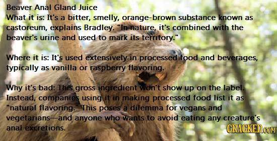 Beaver Anal Gland Juice What it is: It's a bitter, smelly, orange-brown substance known as castoreum, explains Bradley. In nature. it's combined with