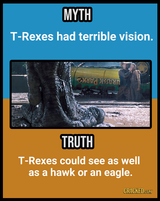 18 Animal Misconceptions We Learned From Movies & TV