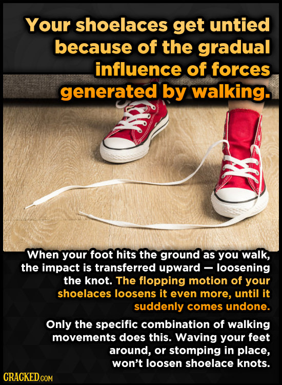 Your shoelaces get untied because of the gradual influence of forces generated by walking. When your foot hits the ground as you walk, the impact is t