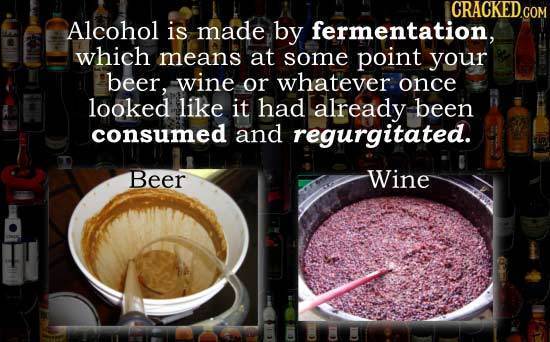 ICRACKEDCON Alcohol is made by fermentation, which means at some point your beer, wine or whatever once looked like it had already been consumed and r
