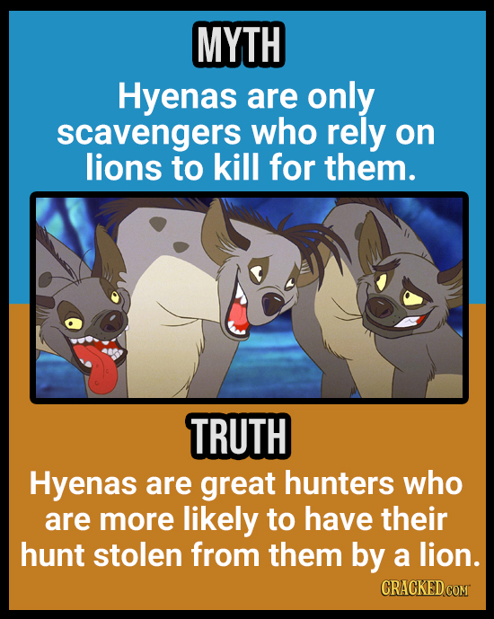 18 Animal Misconceptions We Learned From Movies & TV