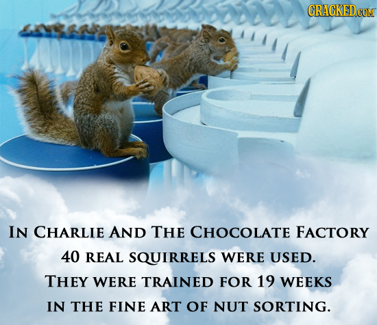 CRACKEDCO IN CHARLIE AND THE CHOCOLATE FACTORY 40 REAL SQUIRRELS WERE USED. THEY WERE TRAINED FOR 19 WEEKS IN THE FINE ART OF NUT SORTING.