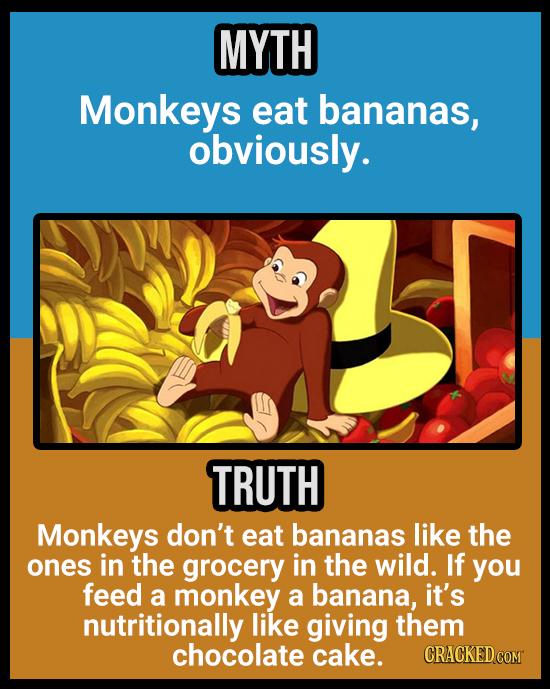 18 Animal Misconceptions We Learned From Movies & TV