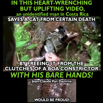 21 Amazing Times Nobodies Saved The Hell Out Of The Day