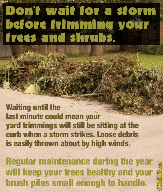 Don't wait for a Storm before frimming your frees and shrubs. Waiting until the last minute could mean your yard trimmings will still be sitting at th