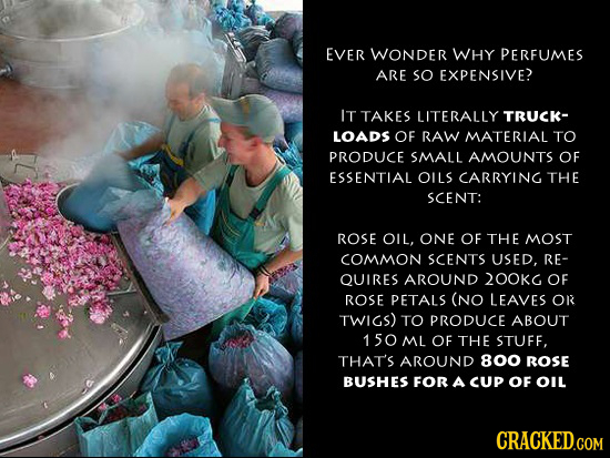 EVER WONDER WHY PERFUMES ARE SO EXPENSIVE? IT TAKES LITERALLY TRUCK- LOADS OF RAW MATERIAL TO PRODUCE SMALL AMOUNTS OF ESSENTIAL OILS CARRYING THE SCE