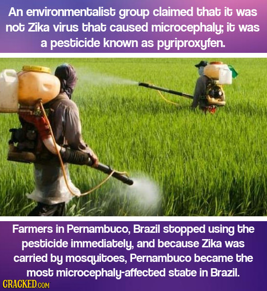 An environmentalist group claimed that it was not Zika virus that caused microcephaly; it was a pesticide known as pyriproxyfen. Farmers in Pernambuco