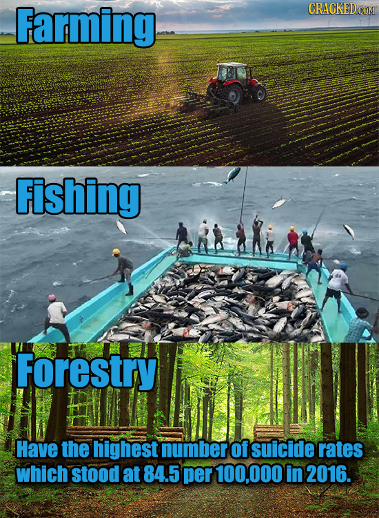 Farming CRACKEDCO Fishing Forestry Have the highest number of suicide rates which stood at 84.5 per 100,000 in 2016.