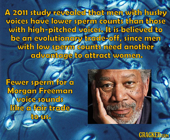 A 2011 study revealed that men with husky voices have lower sperm counts than those with high-pitched voiceso It is believed to be an evolutionary tra