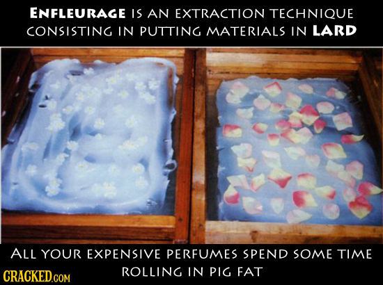 ENFLEURAGE IS AN EXTRACTION TECHNIQUE CONSISTING IN PUTTING MATERIALS IN LARD ALL YOUR EXPENSIVE PERFUMES SPEND SOME TIME CRACKED.COM ROLLING IN PIG F