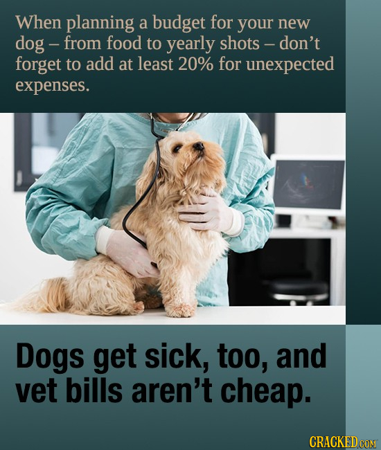 When planning a budget for your new dog - from food to yearly shots - don't forget to add at least 20% for unexpected expenses. Dogs get sick, too, an