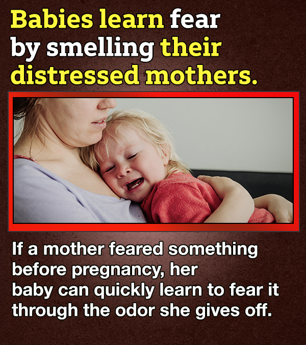 14 Facts About Fear Because 'Tis The Season