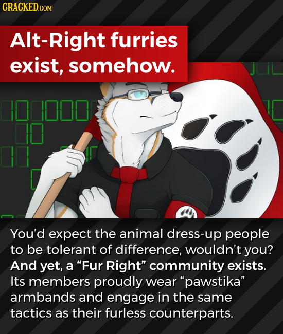CRACKED.COM Alt-Right furries exist, somehow. I00000 You'd expect the animal dress-up people to be tolerant of difference, wouldn't you? And yet, a F