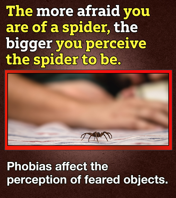 14 Facts About Fear Because 'Tis The Season