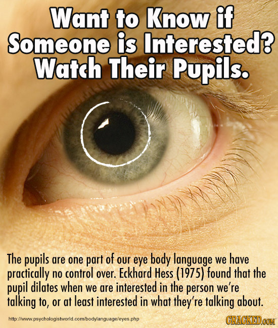 Want to Know if Someone is Interested? Watch Their Pupils. The pupils are one part of our eye body language have we practically that no control over. 