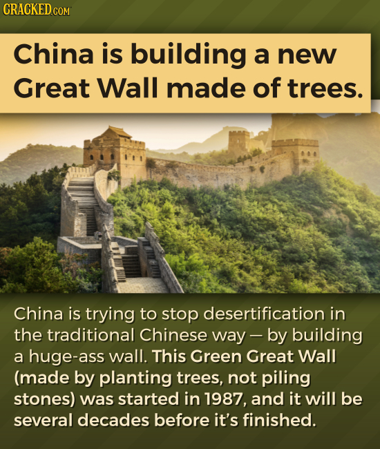 CRACKED COM China is building a new Great Wall made of trees. China is trying to stop desertification in the traditional Chinese way - by building a h