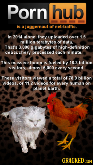 Porn hub is a juggernaut of net-traffic. In 2014 alone, they uploaded over 1.5 million terabytes of data. That's 3,000 gigabytes of high-definition de