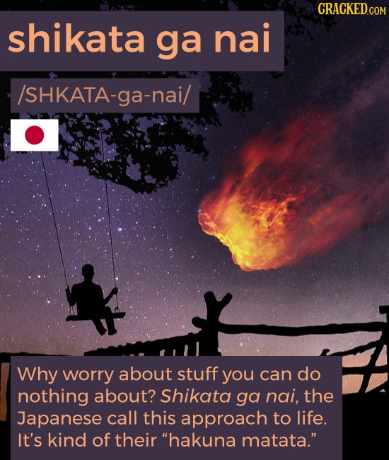 CRaCKED.com shikata ga nai /SHKATA-ga-nai/ Why worry about stuff you can do nothing about? Shikata ga nai, the Japanese call this approach to life. It