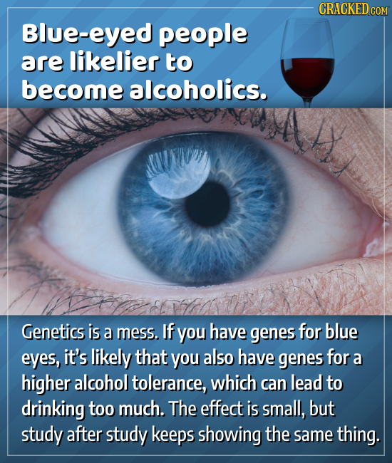 CRACKEDcO Blue-eyed people are likelier to become alcoholics. Genetics is a mess. If you have genes for blue eyes, it's likely that you also have gene