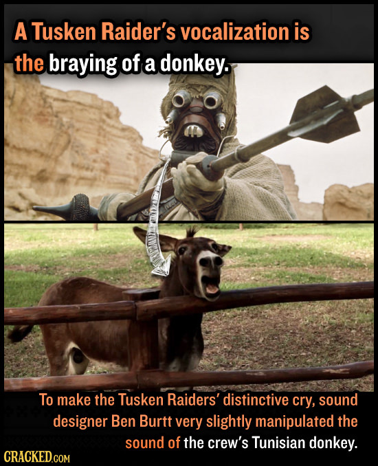 A Tusken Raider's vocalization is the braying of a donkey. To make the Tusken Raiders' distinctive cry, sound designer Ben Burtt very slightly manipul