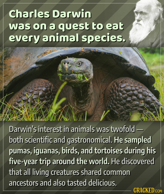 Charles Darwin was on a quest to eat every animal species. Darwin's interest in animals was twofold - both scientific and gastronomical. He sampled pu