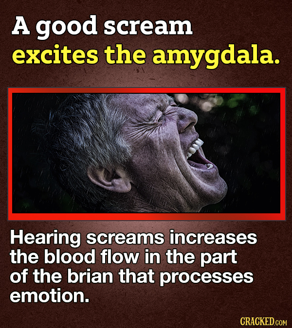 14 Facts About Fear Because 'Tis The Season