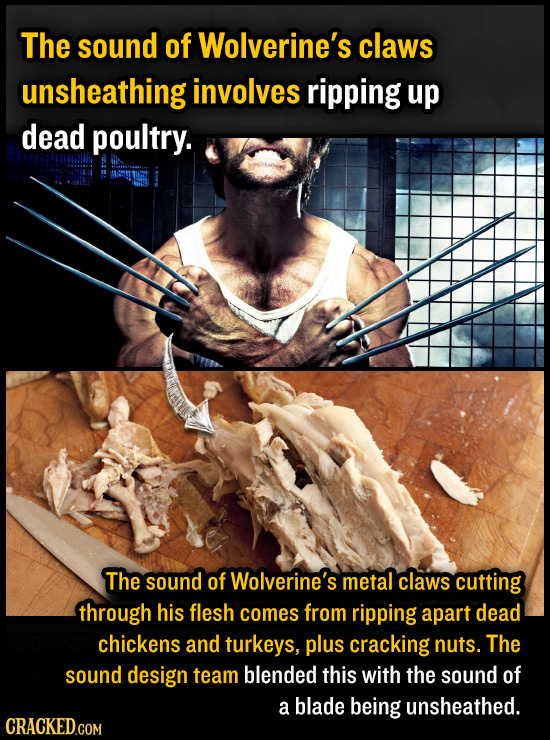 The sound of Wolverine's claws unsheathing involves ripping up dead poultry. The sound of Wolverine's metal claws cutting through his flesh comes from